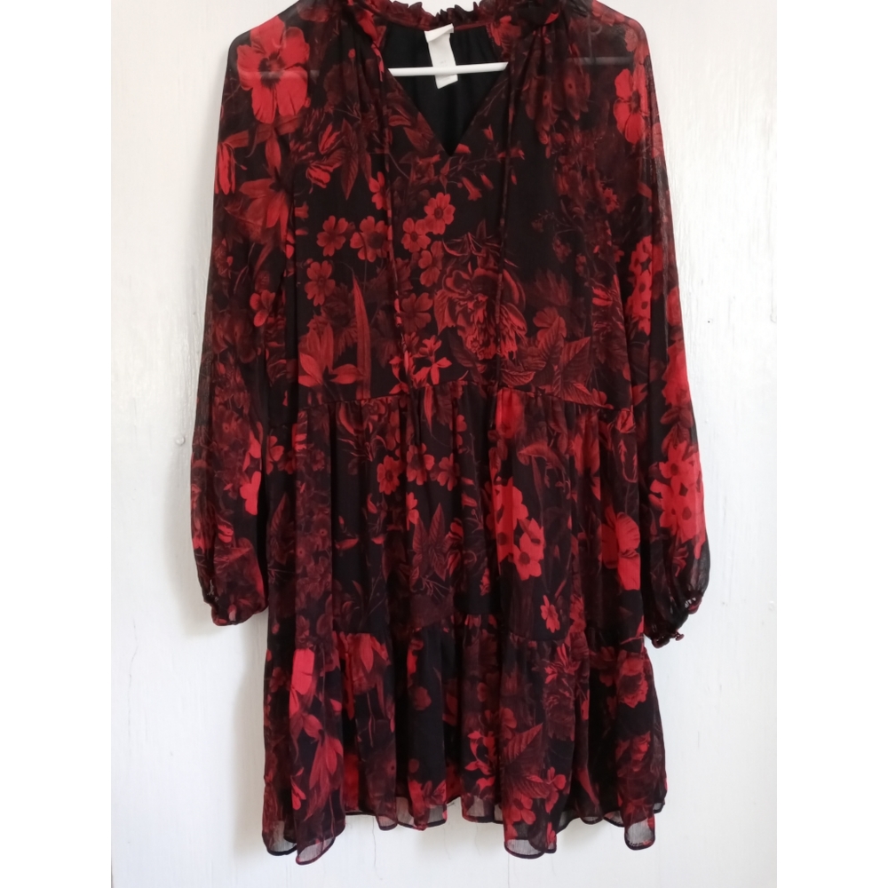 Sheer Dress with under slip